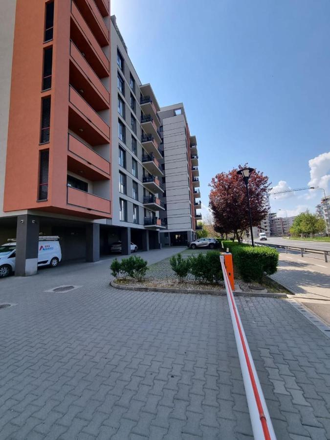 Sahara Sands Loft Private Parking 蒂米什瓦拉 外观 照片